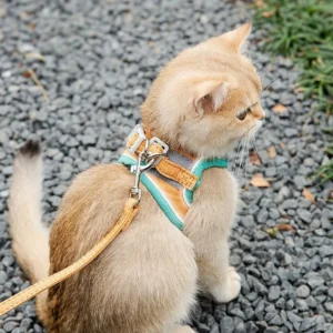 FurryLead™ Cat Harness And Leash Set