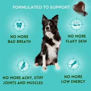 1-TDC Oral Health + Mobility Support for Dogs