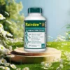 Raindew™ Organic Herbal Extract