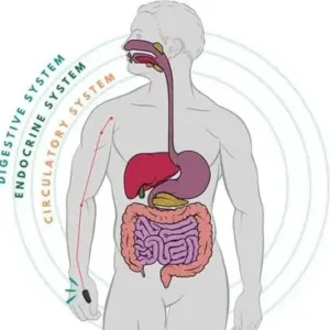 Acuplus+ Sugar Control Acupressure Point Clip