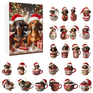 Christmas Dachshund Advent Calendar