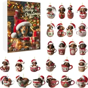 Christmas Dachshund Advent Calendar