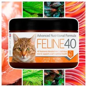 Feline 40