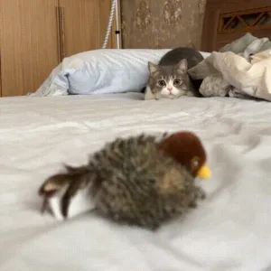 Interactive squeaking and fluttering bird for cats