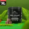 Natural Shilajit Gummies