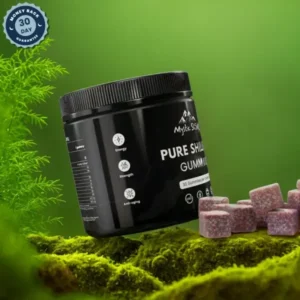 Natural Shilajit Gummies