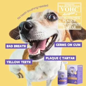 Seurico™ Teeth Cleaning Spray with Oral Probiotics for Dogs & Cats