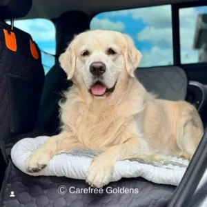 ODEIUN 2.0™м-HardBottom Dog Car seatProtector