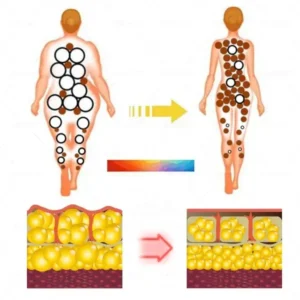 SIE™ Portable Lymphatic Detox And Joint Relaxation Therapy Device‍⚕️